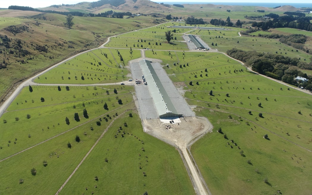 An aerial view of one of Mainland Poultry's Hillgrove Farm sheds in Otago.
