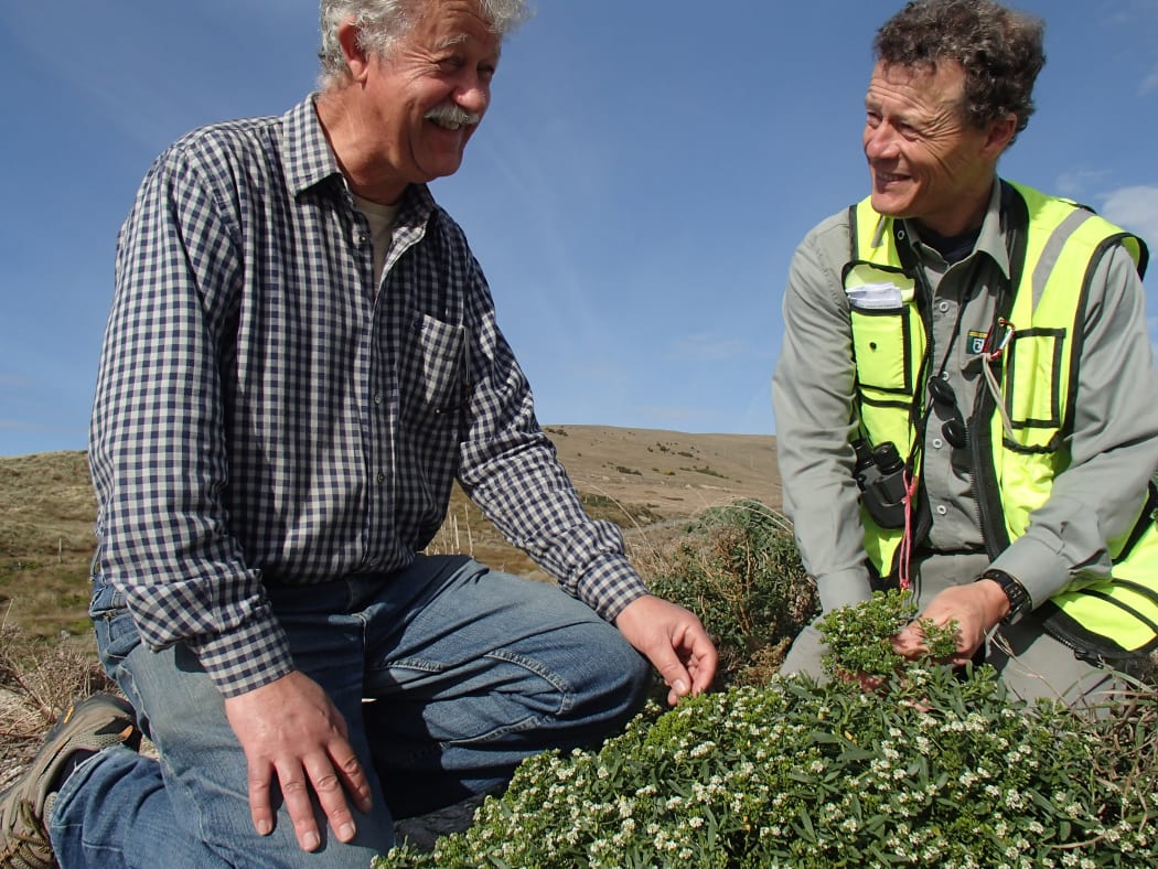 Paul Guy and Graeme Loh