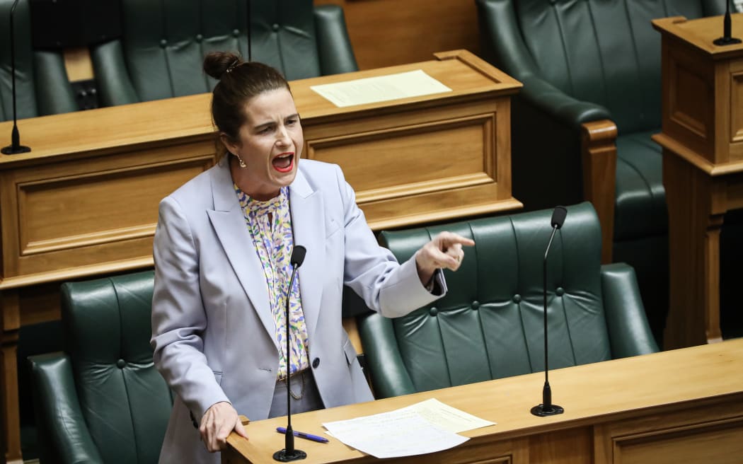 National Party MP Nicola Willis in the General Debate