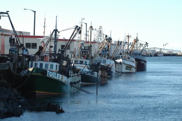 Boats sit at the wharf in Bluff.