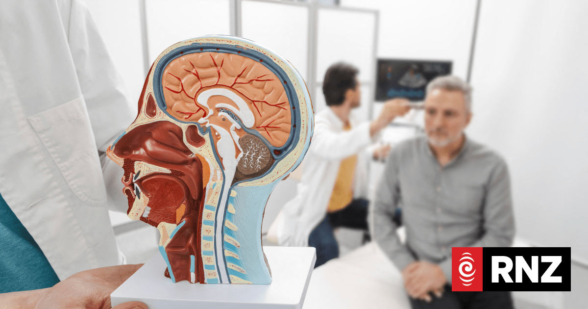 Neurology patient sees specialist faster as a tourist in France than back home