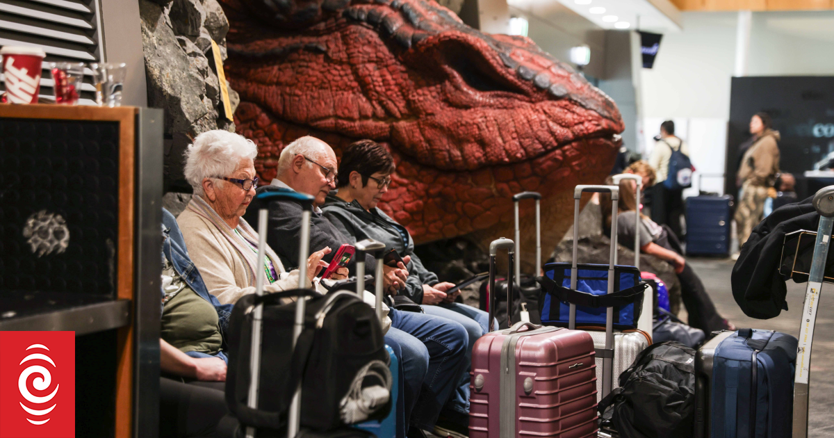 Rocky landings, anxiety and queues as Wellington winds cancel flights