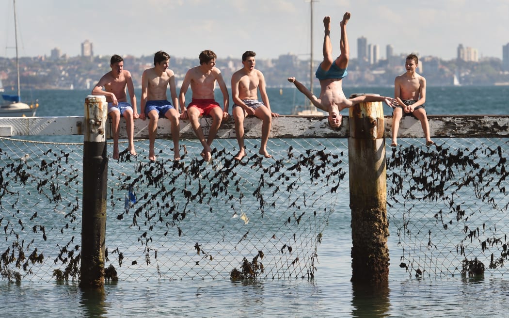Children play on a shark net at Little Manly Cove, Sydney, as shark experts gather at a summit to assess technologies to counter attacks.