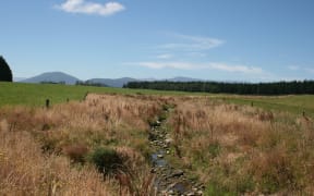 West Coast creek
