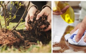 The chores that people want doing: gardening and cleaning
