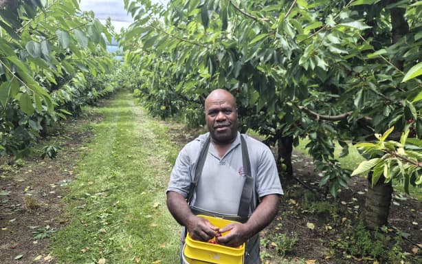 Mike, a ni-Van RSE worker, has been coming to Clyde Orchards from Vanuatu for almost 20 years.