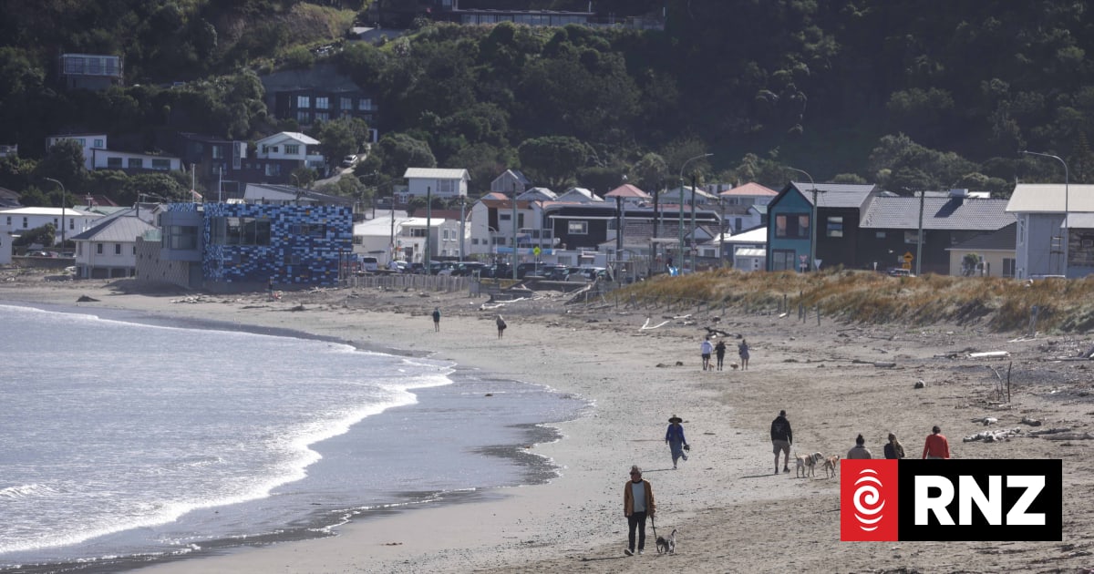 Power cut causes sewage spill along Wellington's south coast