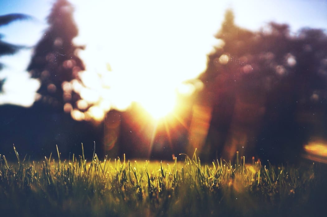Lawn seen at sunset