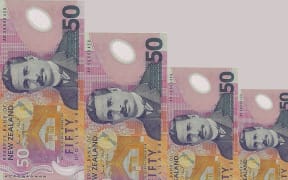 300114. Photo Diego Opatowski / RNZ. dOLLAR DOWN