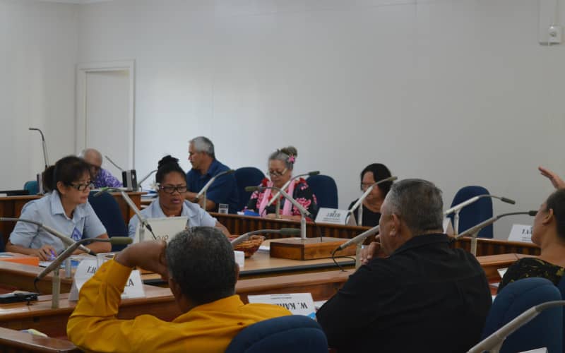 cooks-speaker-stands-by-opposition-leader-process-rnz