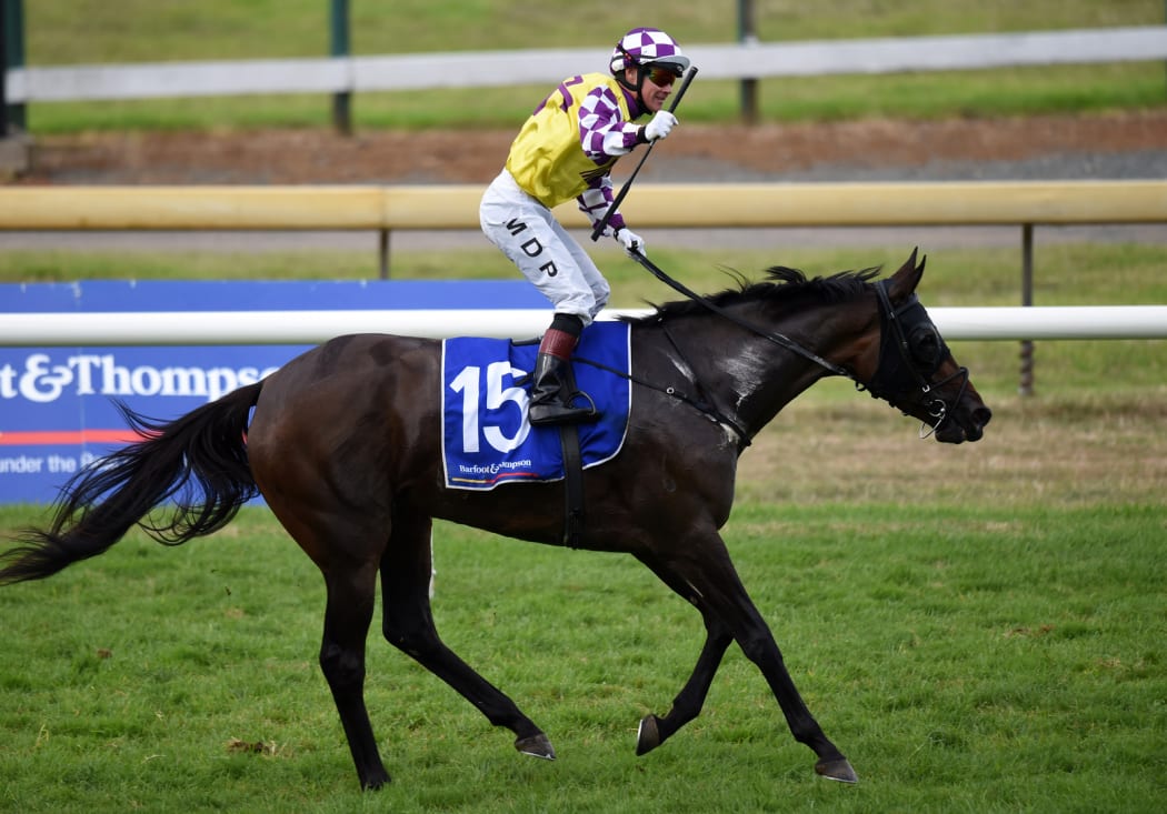 Mark Du Plessis on Rock Diva wins the Auckland Cup at Ellerslie in March 2015.
