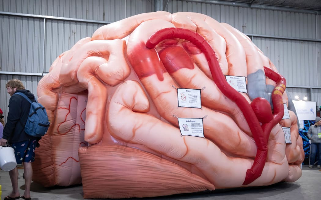 The Fieldays Hauora Taiwhenua Health & Wellbeing hub is filled with health resources, including a headset with fluffy ears that move in response to brainwaves