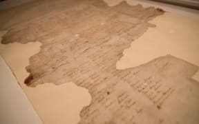Treaty of Waitangi