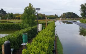 Cameron Road groundwater monitoring bores and surface water ponding visible due to high water levels in the shallow te Hapara sands aquifer.