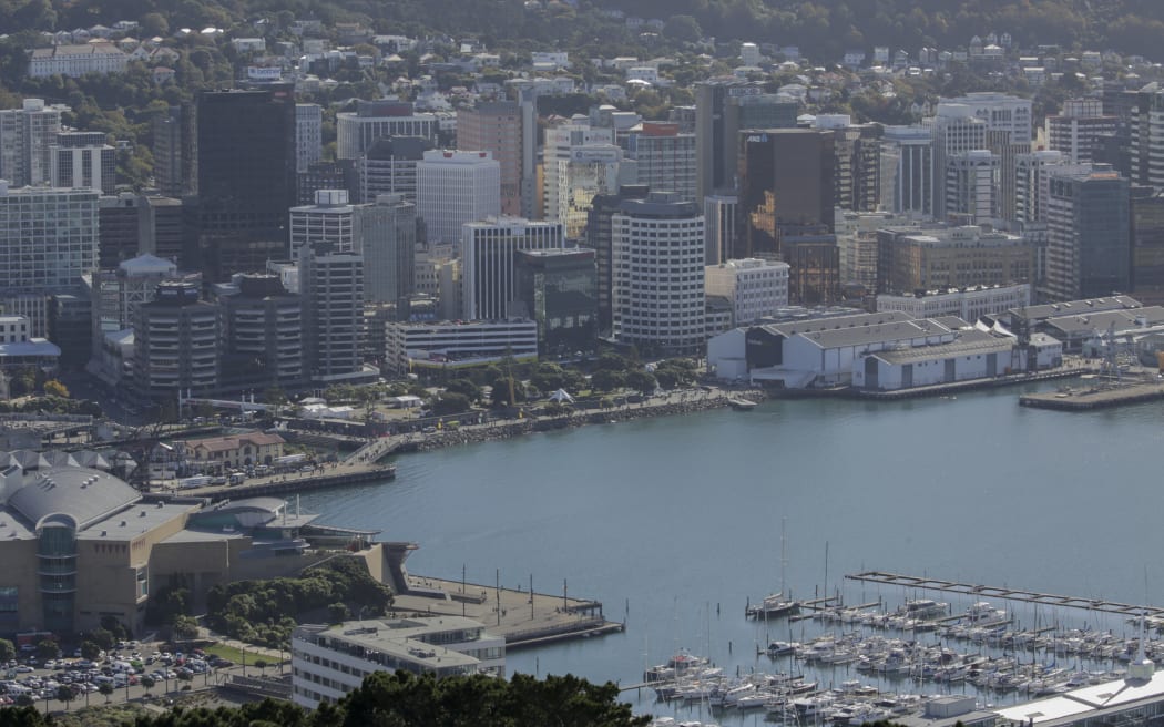 Wellington generic