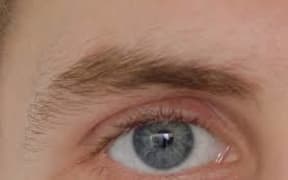 Eyebrow