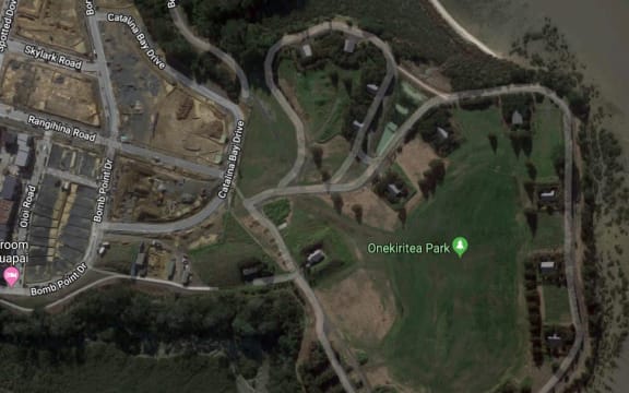 Bomb Point, Te Onekiritea reserve.