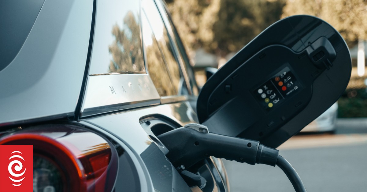 EV ‘fomo’ drives sales to their highest level in years amid fuel crisis, dealer says