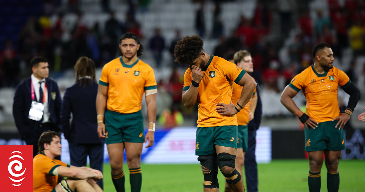 'Please sledge me' - An Aussie living in New Zealand on the Wallabies' woes - Vimarsana News