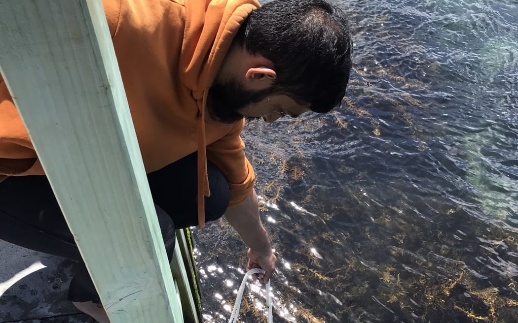 A man wearing an orange hoodie leans over the side of a wharf, loweringa white rope into the ocean below.