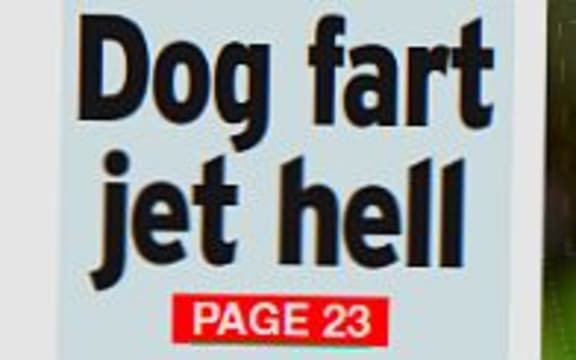 UK tabloid paper the Daily Star economically sums up the story the plight of a kiwi couple long haul trauma.