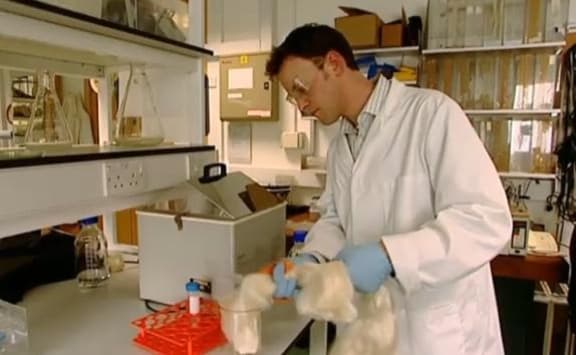 Nick Skaer cutting silkworm silk in lab.