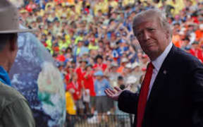 trump scouts