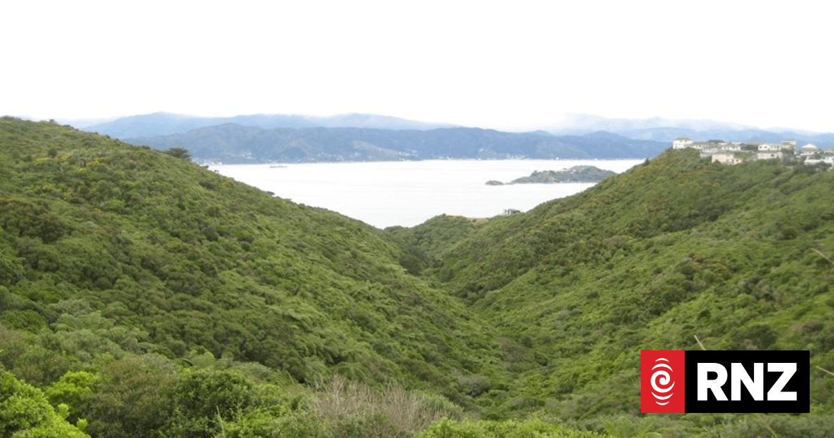 Wellington's northern suburbs demand say in Petone to Grenada road