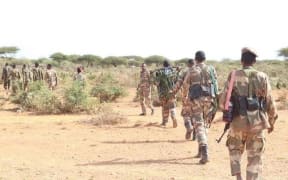 Somali army members were killed in the attack.