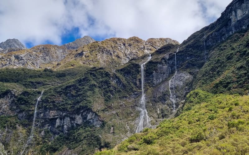 Thousands queue as Milford Track spots book out in minutes | RNZ