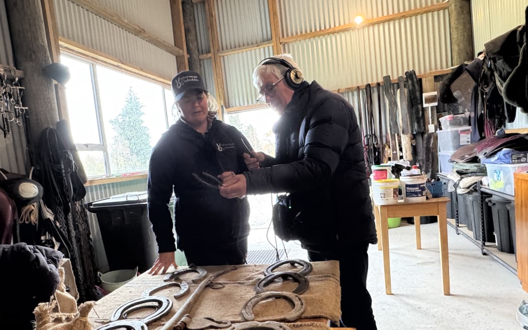 The Clydesdales large horseshoes laid out on a table with Mark and Cate looking at them