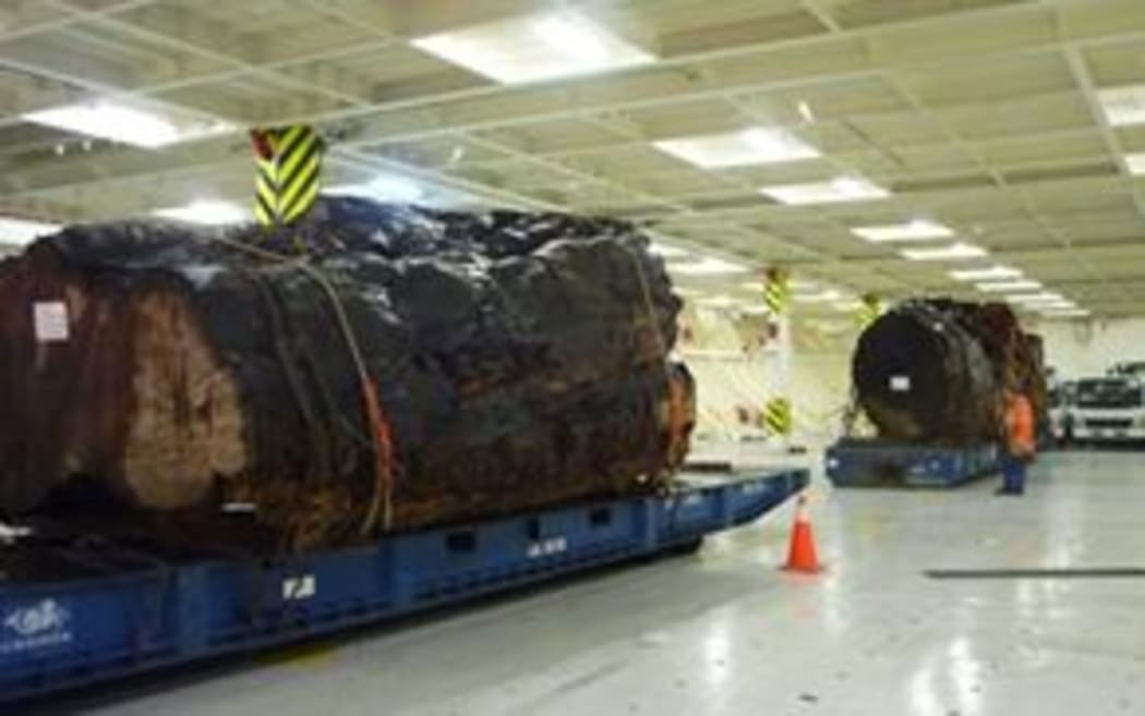 The big logs shipped to Shanghai from Auckland, which MPI says it has no records for.