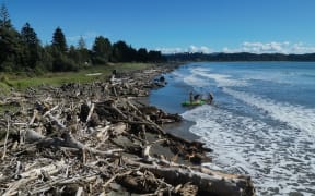 Teenagers launch a kayak on a slash covered beach in Tolaga Bay.