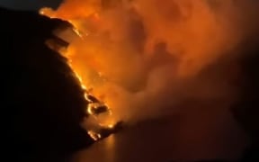 A bush fire near the Golden Stairs Walkway area as photographed on 22 March, 2024, by local resident Erana Murray.