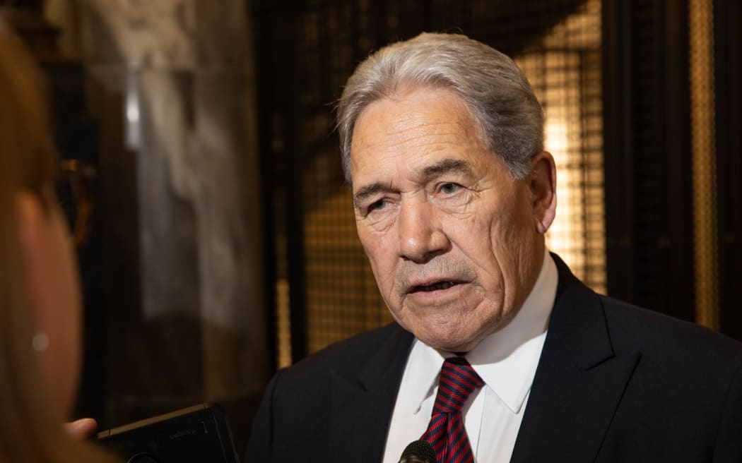 Winston Peters says Gaza 'a wasteland', criticises UN Security Council in speech