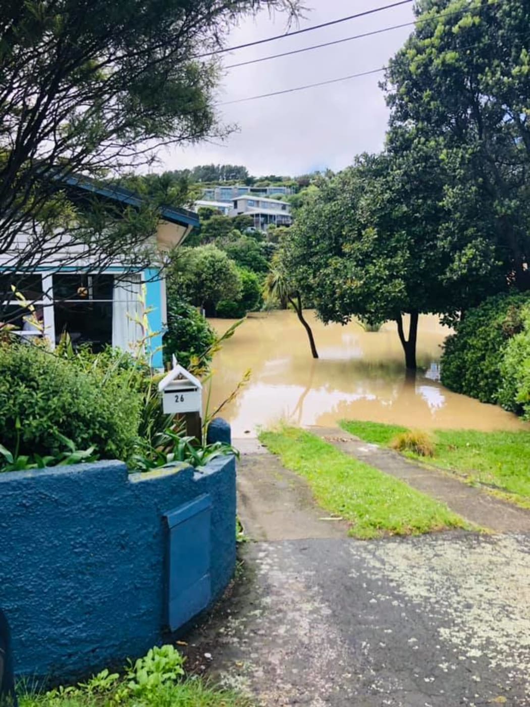 A home on Airlie Road, Plimmerton.
