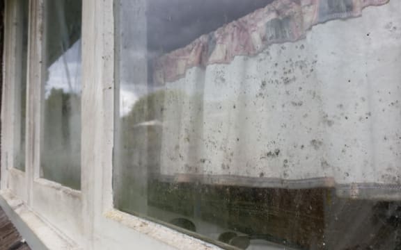 Black mould growing on the windows of the second house.