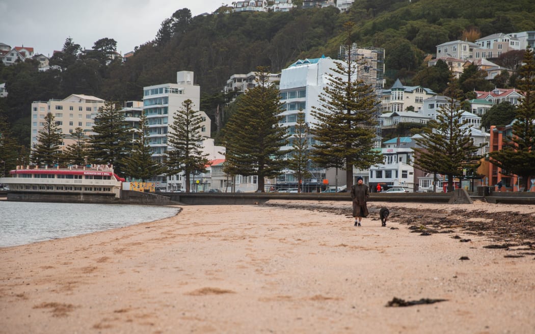Oriental Bay, Wellington