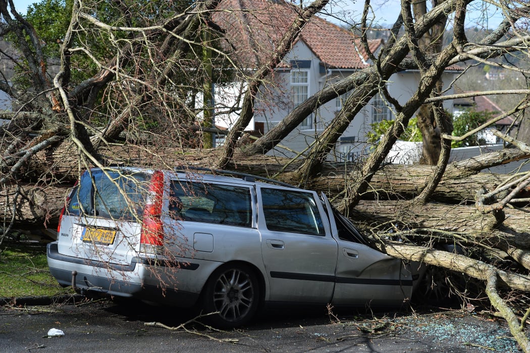 A tree that fell in high winds brought by Storm Katie lies across a car in a street in Brighton.