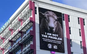 Federated Farmers have put up a billboard in Wellington claiming "sheep are not the problem".