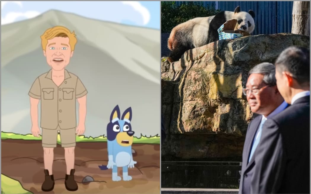 Left image: Still from a One Nation satirical cartoon featuring Robert Irwin and Bluey. Right: Wang Wang the panda chews a box as China's Premier Li Qiang listens to a zoo ranger at the Adelaide Zoo.