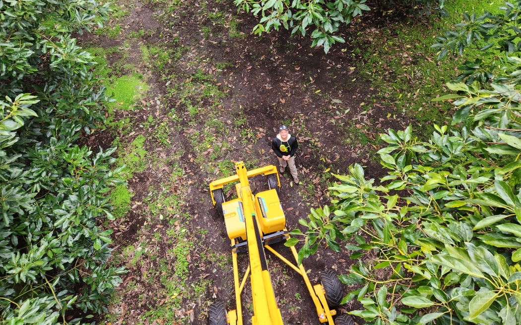 A topshot looking down on Tim in the orchard from the top of the picking platform.