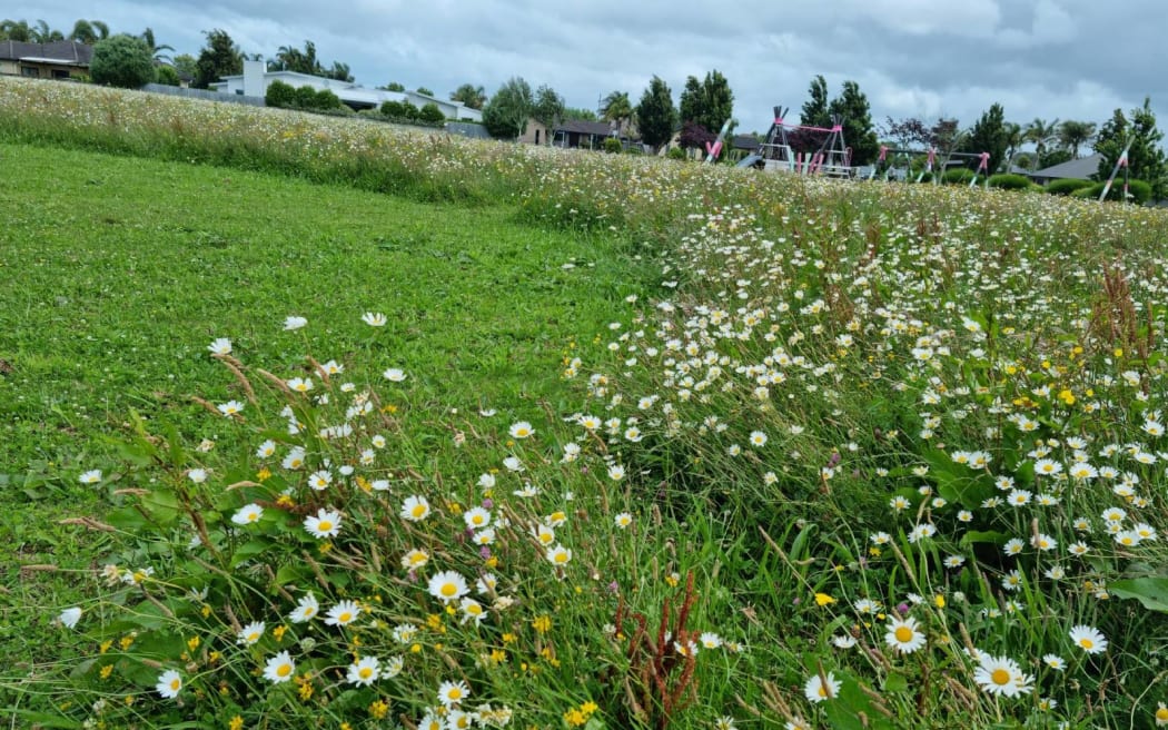 Mangaiti Park in Huntington.