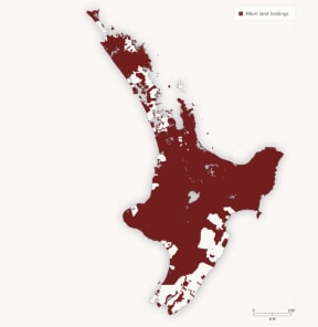 Until 1860, European settlement in the North Island occupied a tiny proportion (shown in white) of the total land mass. Māori occupied the rest.