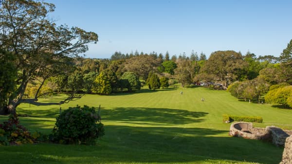 The park has 350 species of trees.