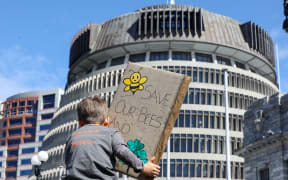 At a climate strike protest a small boy holds a banner towards the Beehive reading 'Save our bees and trees'.