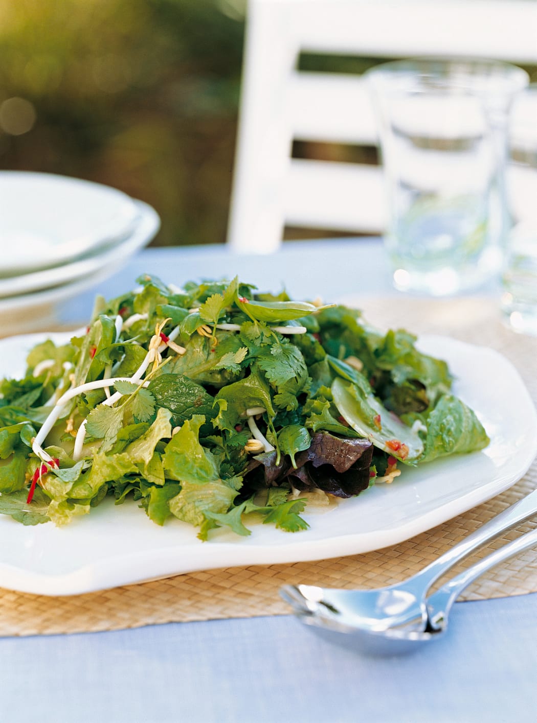 Asian Flavoured Salad