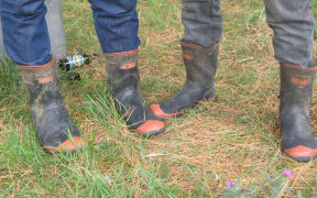 Gumboots - Red bands