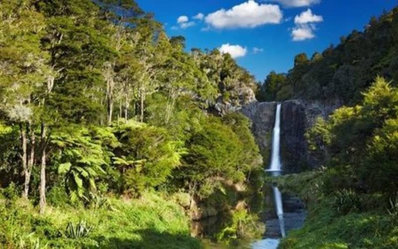 Hunua Ranges 1080 drop 'justified' | RNZ