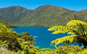 The Marlborough Marine Futures project aims to protect its marine environment.
